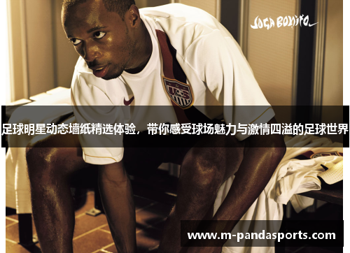 足球明星动态墙纸精选体验，带你感受球场魅力与激情四溢的足球世界