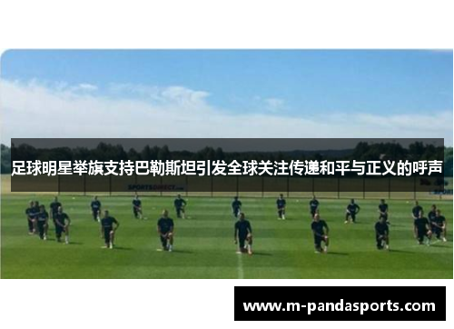足球明星举旗支持巴勒斯坦引发全球关注传递和平与正义的呼声
