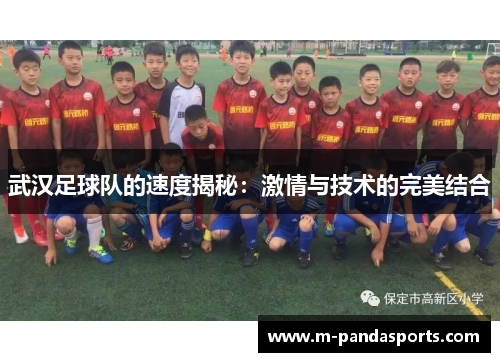 武汉足球队的速度揭秘：激情与技术的完美结合