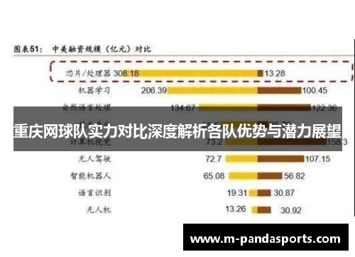 重庆网球队实力对比深度解析各队优势与潜力展望