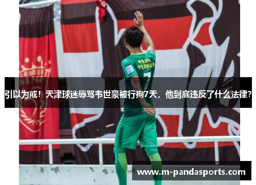 引以为戒！天津球迷辱骂韦世豪被行拘7天，他到底违反了什么法律？
