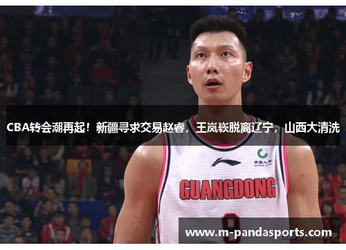 CBA转会潮再起！新疆寻求交易赵睿，王岚嵚脱离辽宁，山西大清洗