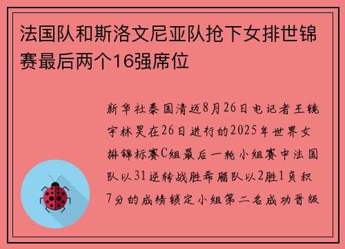 法国队和斯洛文尼亚队抢下女排世锦赛最后两个16强席位